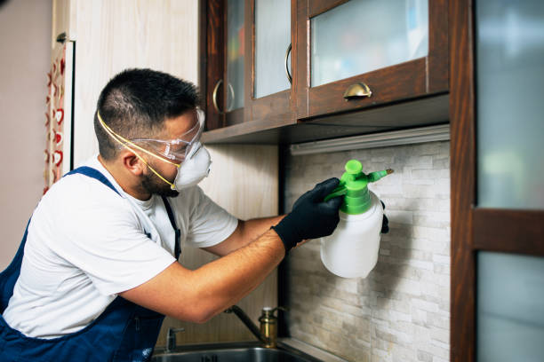Best Pest Control Near Me  in Seymour, TX