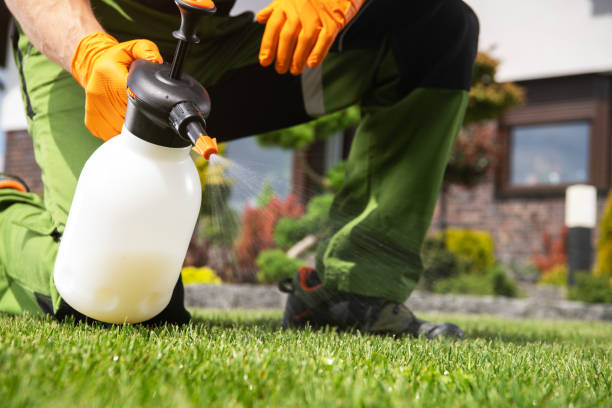 Best Termite Control Services  in Seymour, TX
