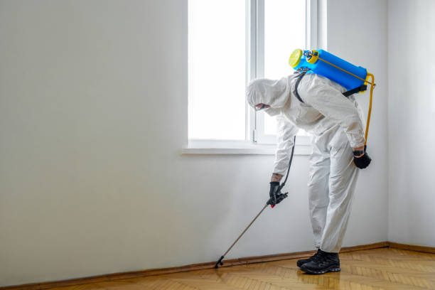 Best Best Pest Control Companies  in Seymour, TX