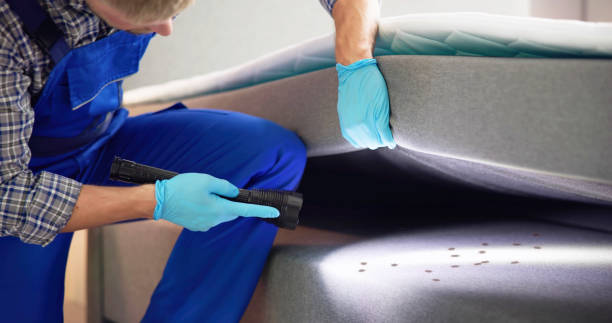 Best Affordable Pest Control Services  in Seymour, TX