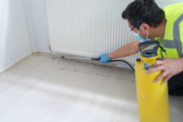 Trusted Seymour, TX Pest Control Experts